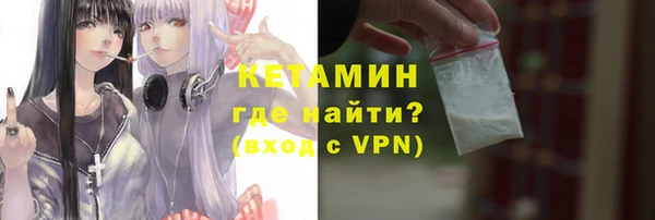 шишки Сосновка