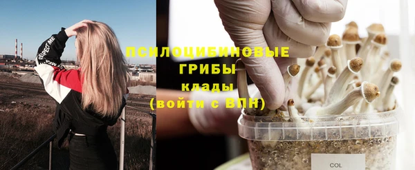 таблы Струнино