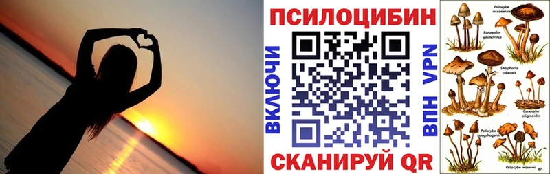 Псилоцибиновые грибы мицелий  Купить  Саянск 